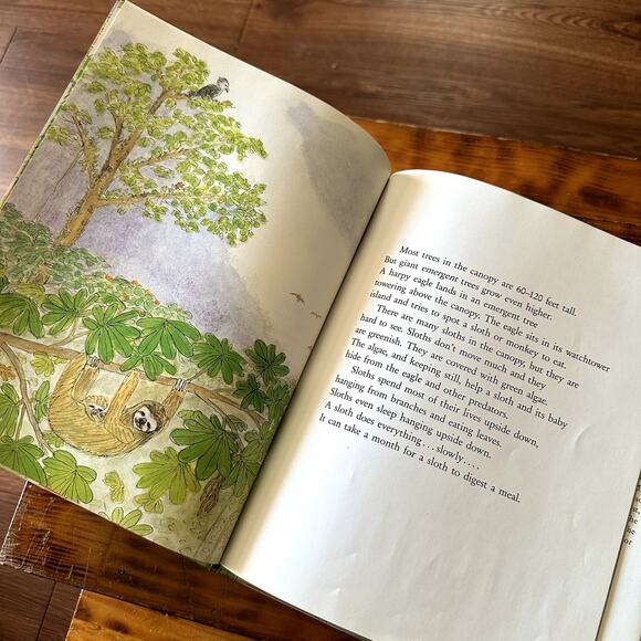 Vintage 1990 Rain Forest Secrets Hardcover Book - Picture 5 of 7